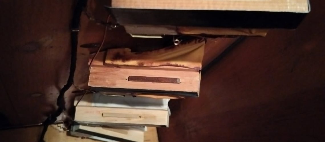 ORGAN PIPE